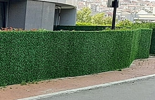 Dekora Çim Çitler